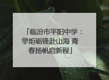 临汾市平阳中学：擎炬砺锋赴山海 青春扬帆启新程